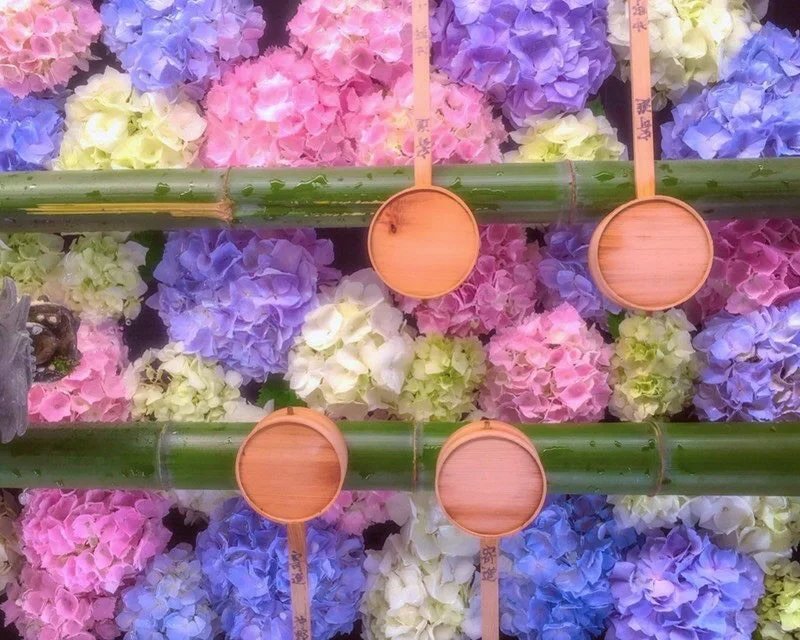 🏞️ 에지오 공원 이미지 6